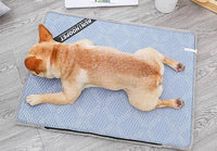 Thumbnail for Baxter - Summer Time Cooling Pet Mat