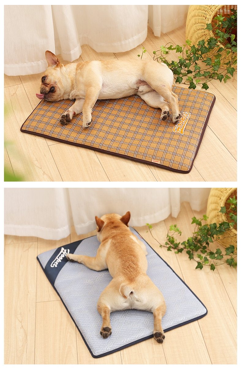 Baxter - Summer Time Cooling Pet Mat