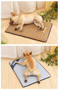 Thumbnail for Baxter - Summer Time Cooling Pet Mat