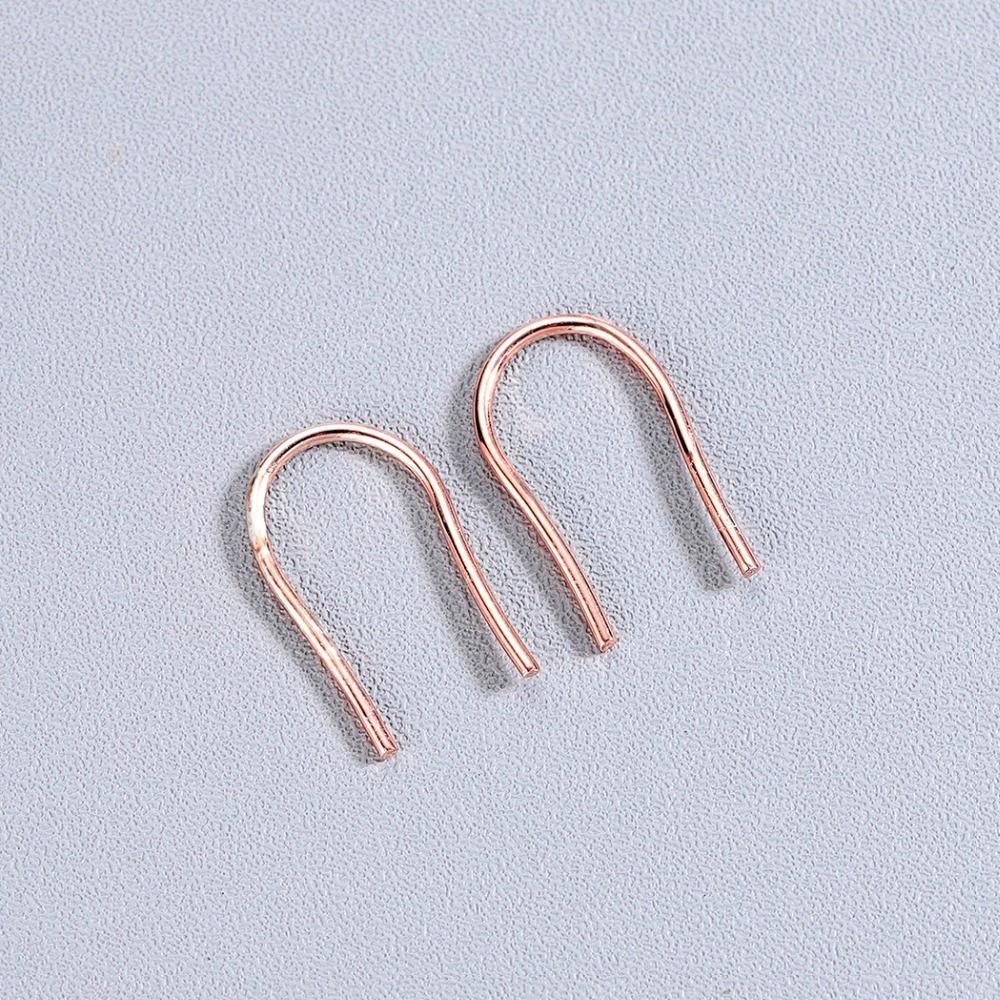 Horseshoe Loop Through Earrings