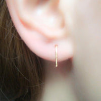 Thumbnail for Horseshoe Loop Through Earrings