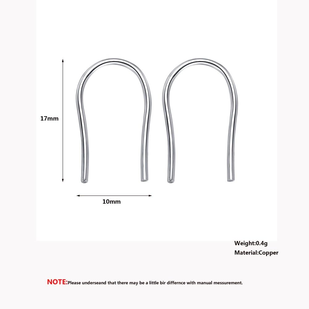 Horseshoe Loop Through Earrings