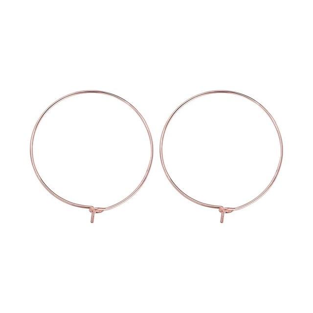 Horseshoe Loop Through Earrings