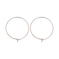 Thumbnail for Horseshoe Loop Through Earrings