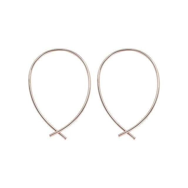 Horseshoe Loop Through Earrings