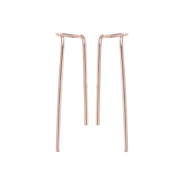 Horseshoe Loop Through Earrings