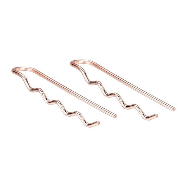 Horseshoe Loop Through Earrings