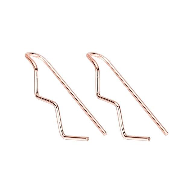 Horseshoe Loop Through Earrings