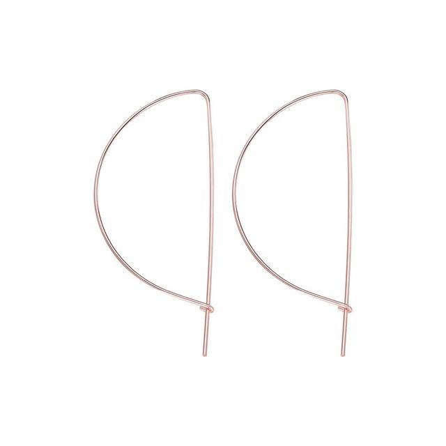 Horseshoe Loop Through Earrings