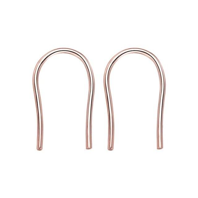 Horseshoe Loop Through Earrings