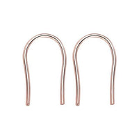 Thumbnail for Horseshoe Loop Through Earrings