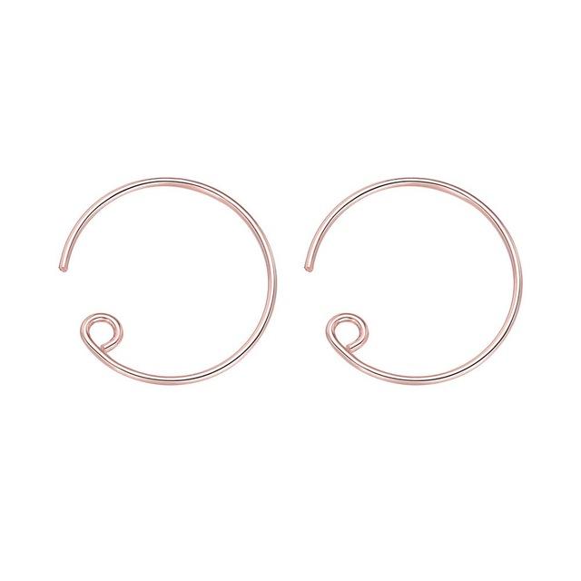 Horseshoe Loop Through Earrings