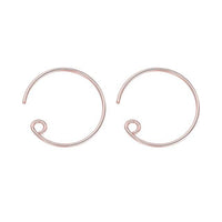 Thumbnail for Horseshoe Loop Through Earrings