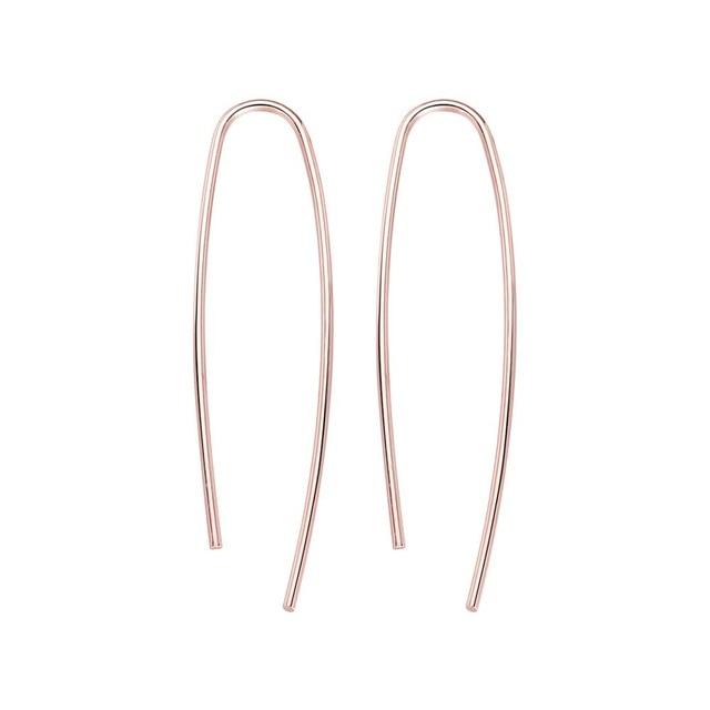 Horseshoe Loop Through Earrings