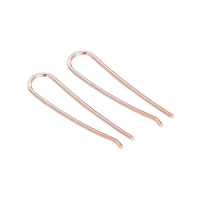 Horseshoe Loop Through Earrings