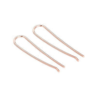 Thumbnail for Horseshoe Loop Through Earrings