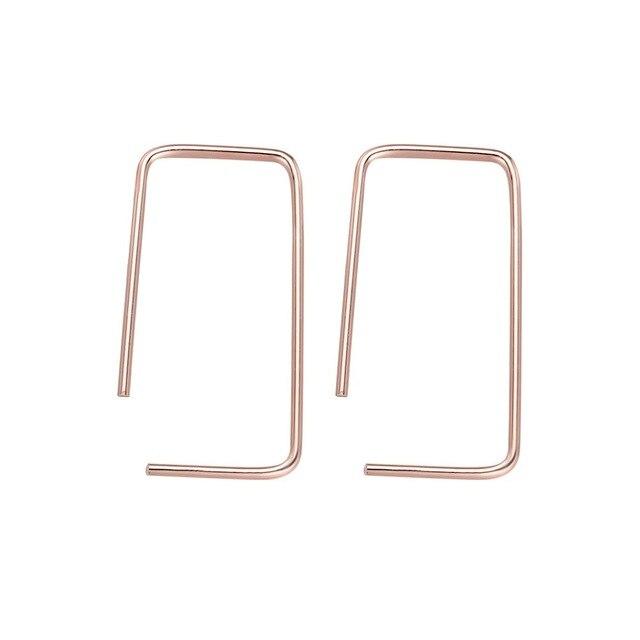 Horseshoe Loop Through Earrings