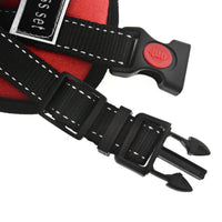 Thumbnail for Dog Walking Harness