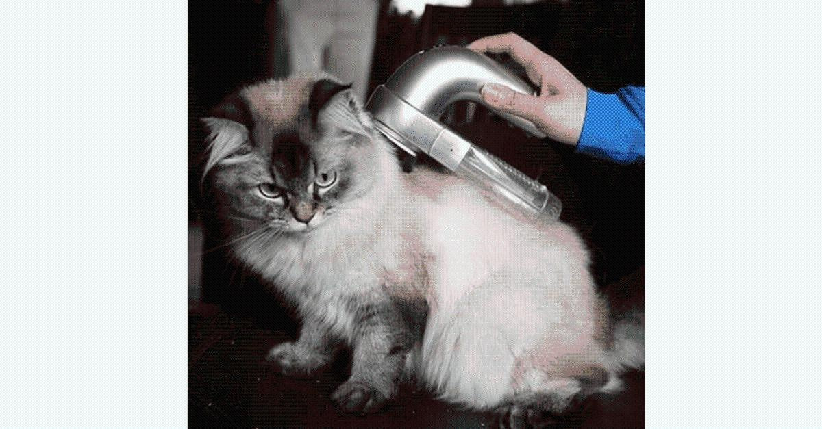 Pet Vacuum Groomer