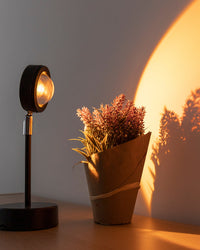 Thumbnail for product-image