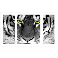 Thumbnail for Black and White Tiger - GemPaint™ Kit